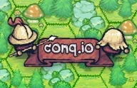 Conq IO